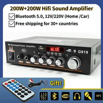 200W + 200W HiFi ses amplifikatörü Çift Mikrofon Girişi ile Ev Amplifikatör Karaoke Çalar müzik hoparlörü 220V / 12V Araba Amp