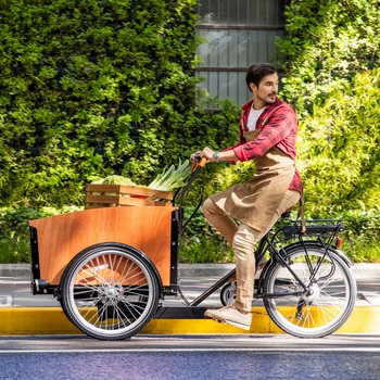 ön ahşap kutu kontrplak çin bakfiets ile avrupa stok elektrikli hollandalı kargo bisiklet bisiklet