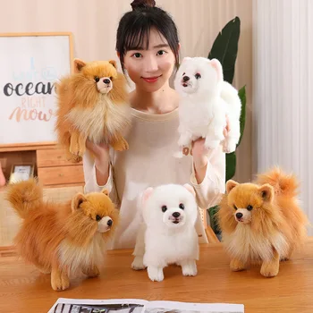 Premium Simülasyon Pomeranian Köpek peluş oyuncak Sevimli Doldurulmuş Hayvanlar Yüksek Kaliteli Köpek Peluş Bebek Karikatür Yumuşak Çocuk Oyuncakları Hediyeler