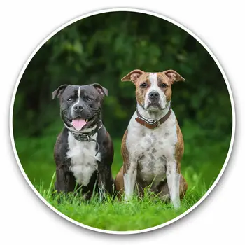 S61718 # Amerikan İngilizce Staffordshire Köpekler Kendinden yapışkanlı Çıkartması Araba Sticker Su Geçirmez Oto Dekorları Tampon Arka Cam Dizüstü Bilgisayar