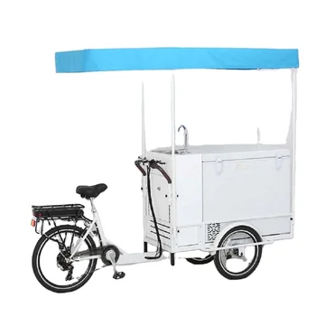 T06B Elektrikli Kargo Otomatı Üç Tekerlekli Bisiklet Mobil Dondurma Bisikletleri Dondurucu Üç Tekerlekli Bisiklet