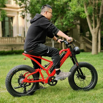 REALMAXS Yetişkin 1000W Hub Motor Dağ Elektrikli Bisiklet En İyi Ebike E Bisiklet 2022 Elektrikli Bisiklet 750 W Cruiser CE İle