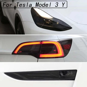 Araba Far Kuyruk Lambası Sis Lambası Tonu TPU Koruyucu Lamba Filmi Tesla Modeli 3 Y dekorasyon çıkartması Kararmış Şeffaf