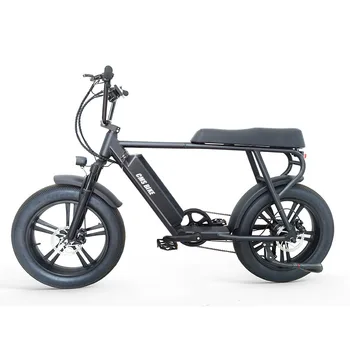 20 inç Elektrikli Bisiklet Açık Spor Alüminyum Alaşımlı Lityum Pil Kolaylık Unisex Kar Lastikleri